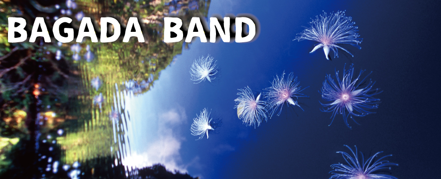 BAGADA.jpg